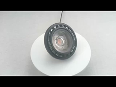 ES111 Bulbs