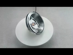 ES111 Bulbs