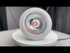 PAR30 LED Bulbs