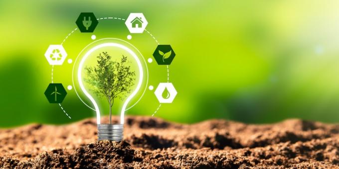 GU10 LED Bulbs: Are They the Best Energy-Efficient Choice for Modern Businesses? 1