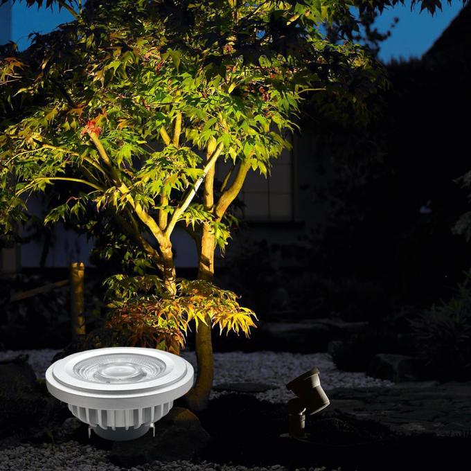 IP66 AR111 LED Bulb for Outdoor Projects – Waterproof G53 PAR36 Spotlight  1
